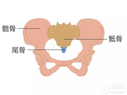 月经期间骶骨痛，是盆腔充血的原因吗？