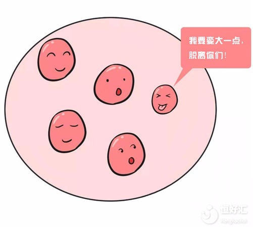   试管婴儿多次促排对身体有害吗？看完才知道