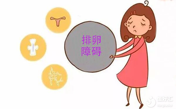 排卵障碍试管婴儿