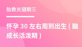 怀孕30左右周到出生(脑成长活泼期)